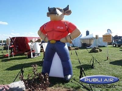 Bull Replica Corporate program